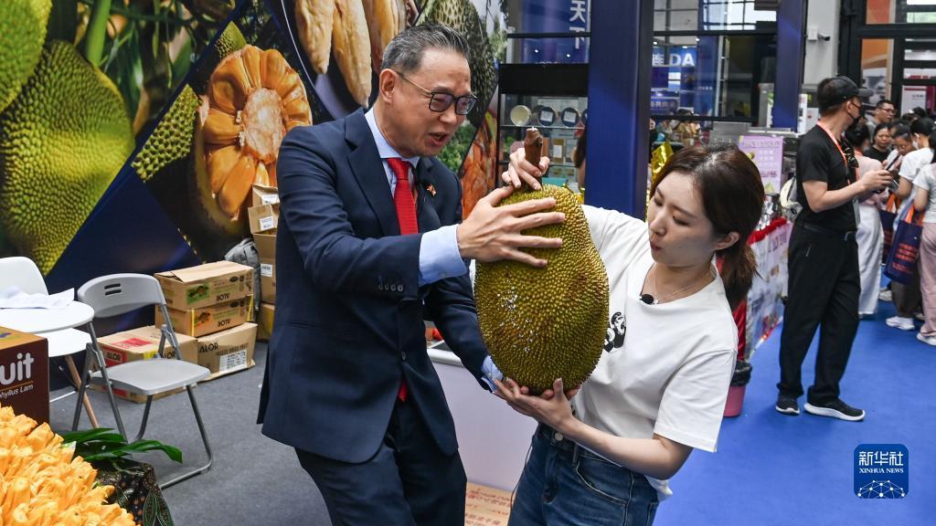 新捕鱼游戏机